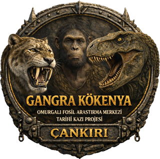 Gangra Kokenya logosu